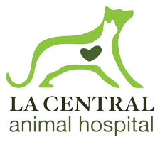 Home | Veterinarian in Los Angeles, CA | LA Central Animal Hospital LA Central  Animal Hospital - Veterinarian in Los Angeles, CA US